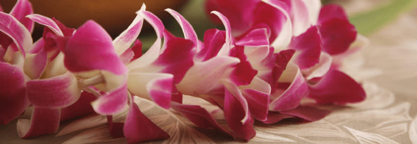 Hawaiian Orchid Garland