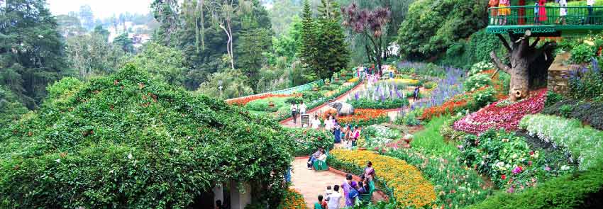Government Botanical Garden Photo