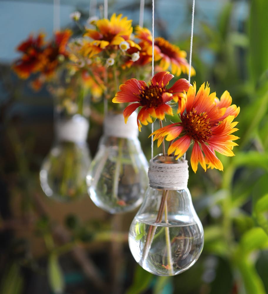 Light Bulb Vase