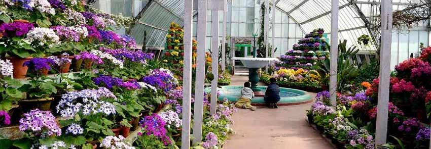 Lloyds Botanical Garden Photo