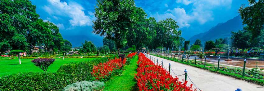 Shalimar Bagh Photo