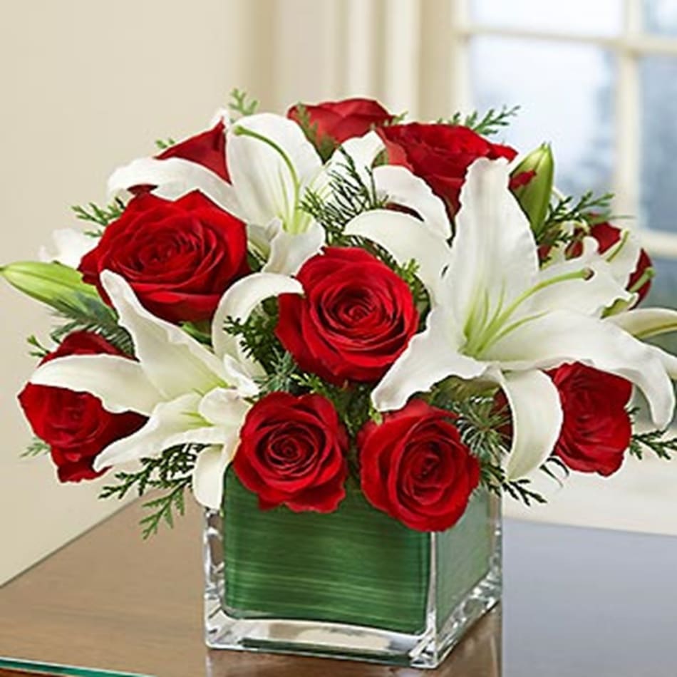 white&wine red テールリードbouquet 感慨深い