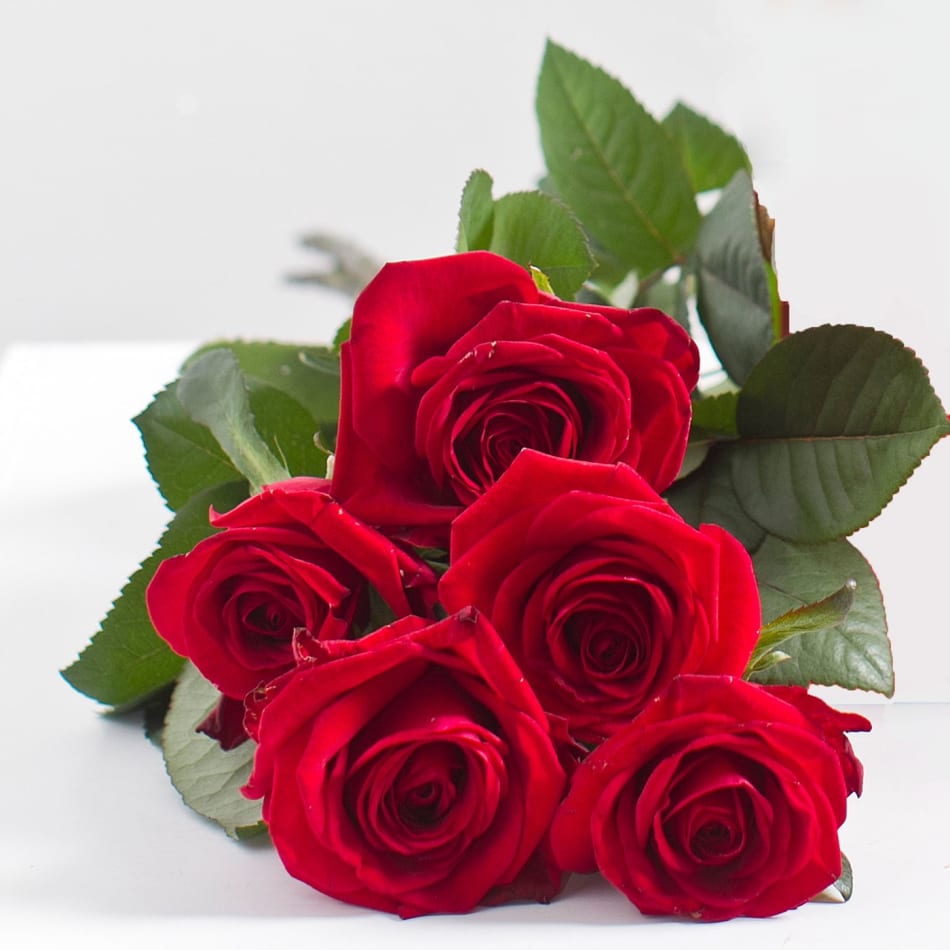 Bouquet of 5 Red Roses: Order Flowers Online | Interflora India