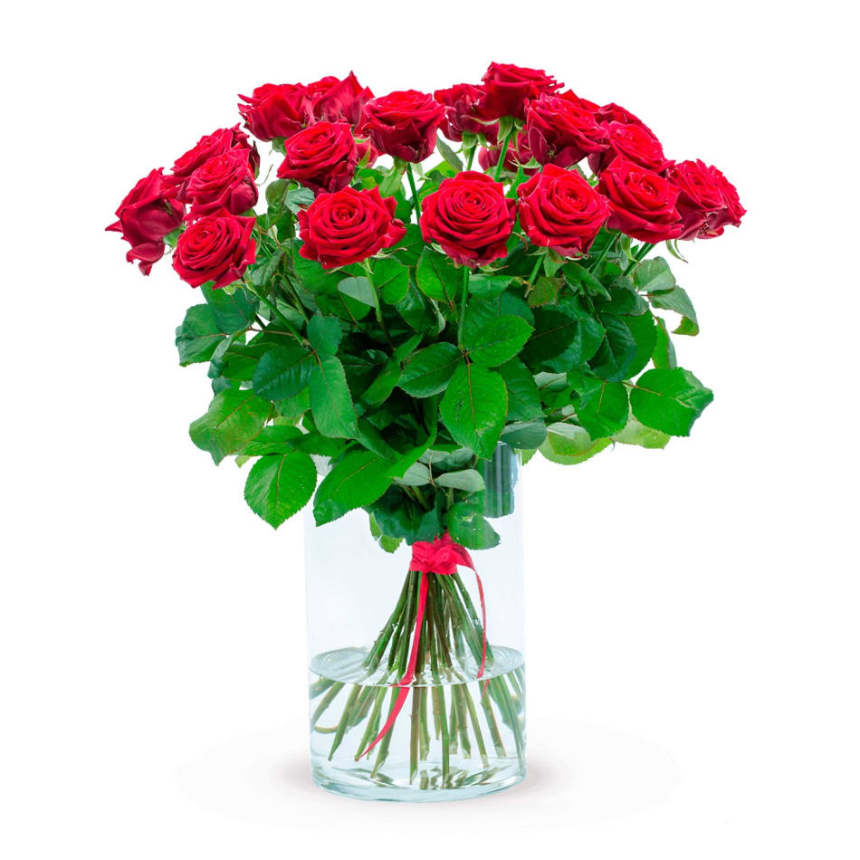 Flowers for a queen new arrivals