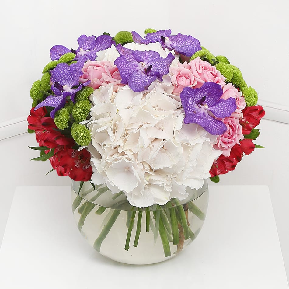 Luxury Vanda Orchid & Hydrangea Vase: Order Birthday Flowers Online |  Interflora India
