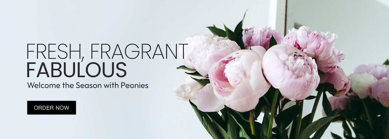Peonies