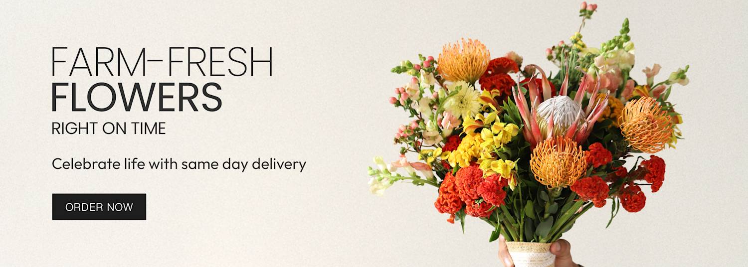 Same Day Delivery