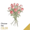 11 Roses Online
