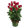 12 Red Roses in Vase Online