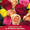 12 ROSES LONG STEM Online