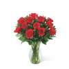 12 roses medium stemmed Online