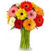 20 Mix Gerberas Bouquet Online