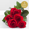5 roses Online