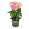 6 Pink Roses in Vase Online