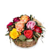 A Basket Full of Roses Online