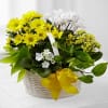 A Bit of Sunshine Basket by FTD Online