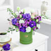 A Violet Wish Online