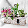 Gift A Walk in the Garden Basket