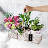 Buy A Walk in the Garden Basket