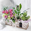 A Walk in the Garden Basket Online