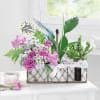 Gift A Walk in the Garden Basket