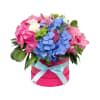 Allegro Online