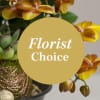 Arrangement of Plants Online