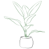 Arrangement of Plants Online