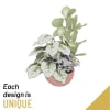 Arrangement of Plants in a Bowl Online