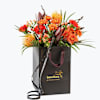 Autumn Bright Medium 240405 Online