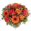Autumn colors Online
