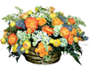 Autumn Etude Online