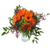 Autumn Warmth Online