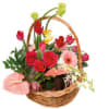 Basket Arrangement Rendezvous Online