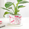 Shop Birkin Elegance In Ribbon Charm Pot