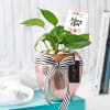 Gift Bloom and Grow Goodluck Pot