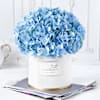 Gift Blue Beauty Bliss