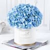 Blue Beauty Flower Box Online