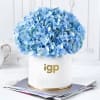 Blue Beauty Flower Box Online