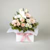 Blush Blossoms Online