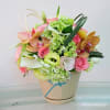 Bouquet in Pot Online