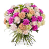 Bouquet of multicoloured carnations Online