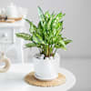 Bright Beginning Online