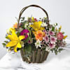Burst of Spring Online