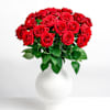 Cavalier of Roses Online