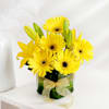 Gift Cheerful Optimism
