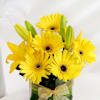 Buy Cheerful Optimism