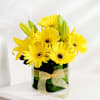 Cheerful Optimism Online