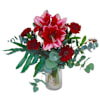 Christmas beauty Online