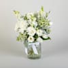 Classic White Flowers Online